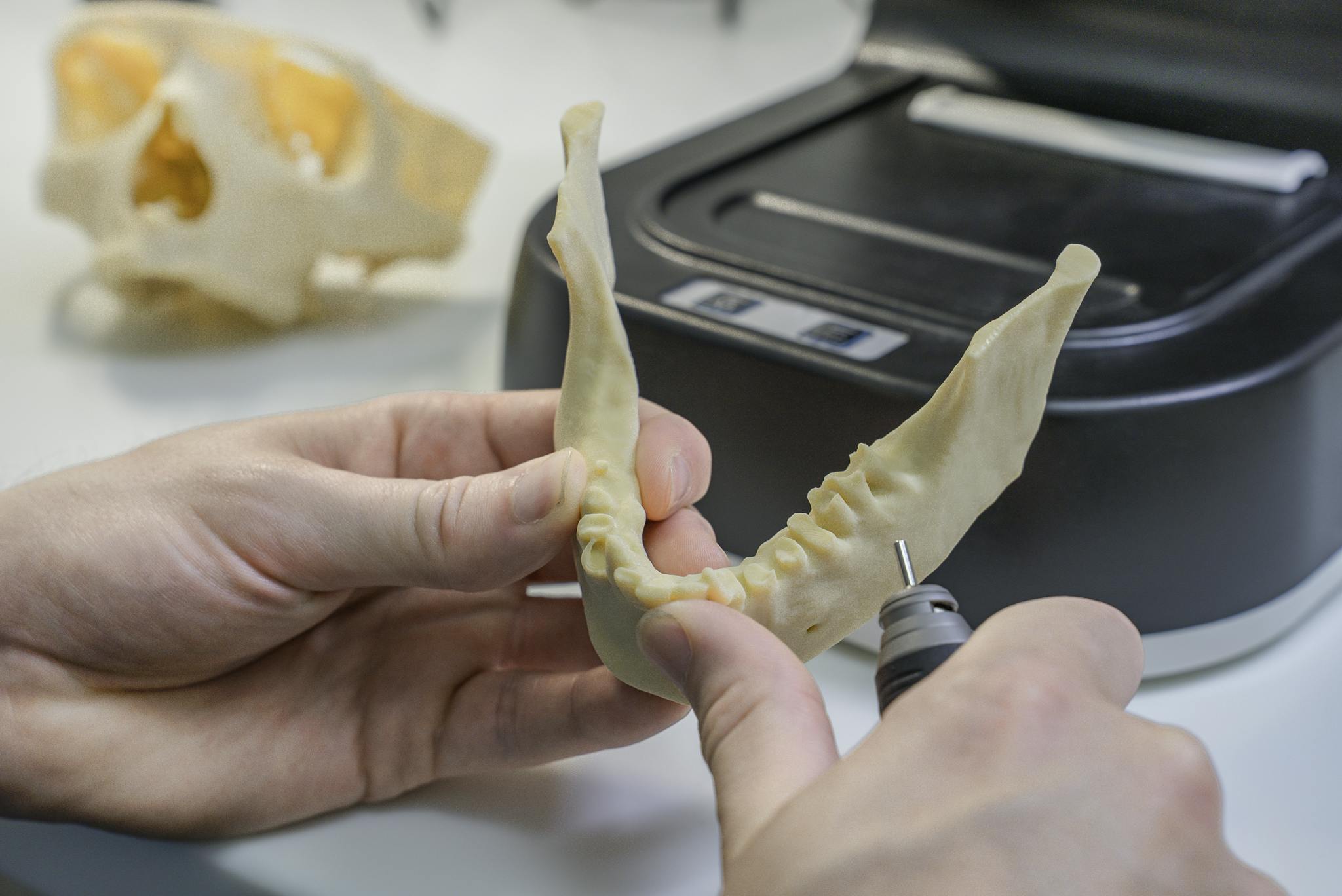 Detailed view of a 3D printed dental model being refined by a technician in a laboratory.